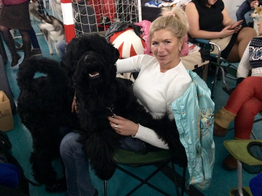 Adam Racy Style SOLARIS   EXCELLENT! BEST JUNIOR MALE!