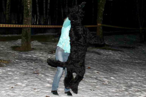 Adam Racy Style SOLARIS!