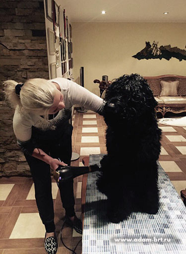 Adam Racy Style LAKI LIDER  BEST OF BREED!!!