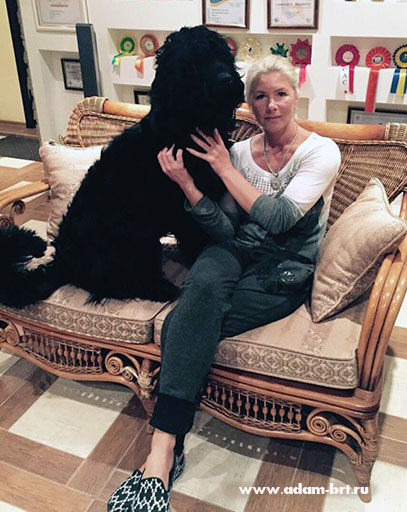 Adam Racy Style LAKI LIDER  BEST OF BREED!!!