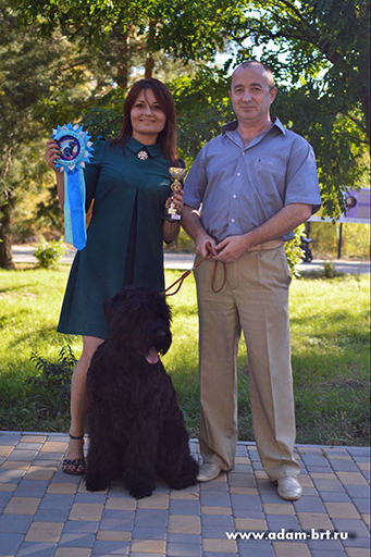 Adam Racy Style TEFFY - VERY PROMISING, CW, Best Puppy!