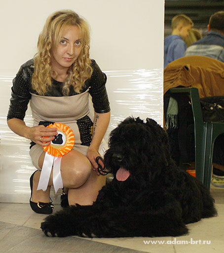 Adam Racy Style ULTRAVITA  BEST PUPPY OF BREED!!!