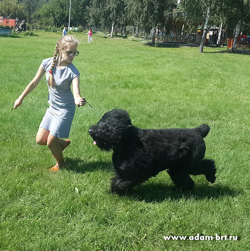 Adam Racy Style ZLATOSLAV - CHAMPION OF RUSSIAN KINOLOGICAL FEDERATION!!!