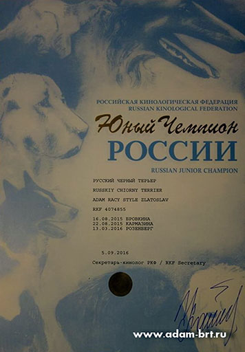 Adam Racy Style ZLATOSLAV - CHAMPION OF RUSSIAN KINOLOGICAL FEDERATION!!!