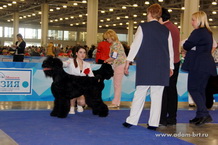 Adam Racy Style STEPHANIA