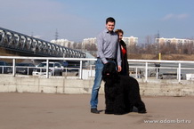 Adam Racy Style BERENIS