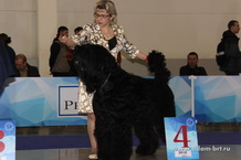 Adam Racy Style APOLLON