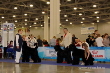 ADAM RACY STYLE - BEST KENNAL OF BREED!