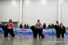 Adam Racy Style APOLLON