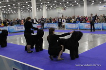 Adam Racy Style DAVID