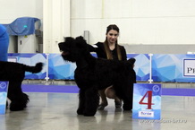 Adam Racy Style STEPHANIA!