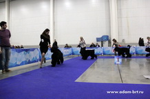 Adam Racy Style BERENIS - VICE-CHAMPION OF EURASIA!