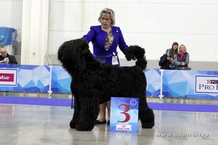 Adam Racy Style APOLLON