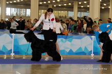 Adam Racy Style BERENIS