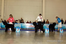 Adam Racy Style BERENIS