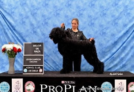 Adam Racy Style DAR'JANA