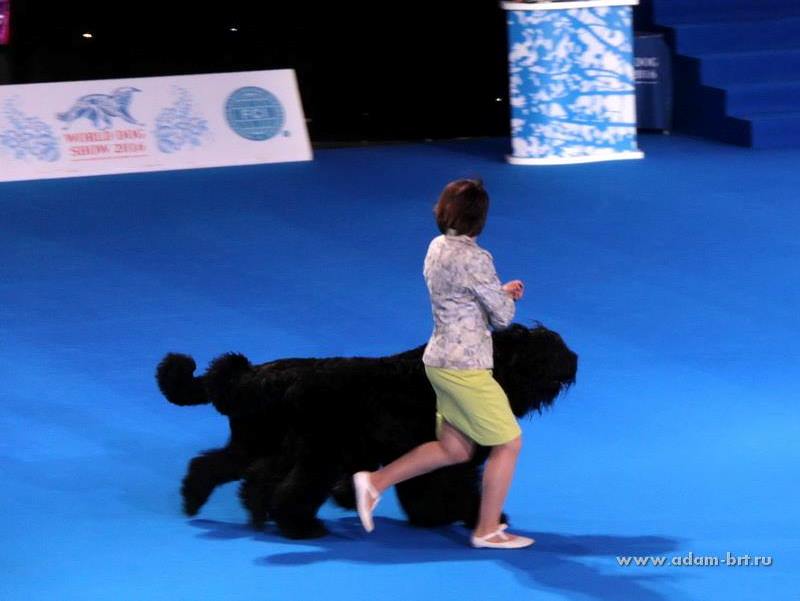 ADAM RACY STYLE APOLLON AND ALEKSANDRA IS THE WORLD CHAMPIONSHIP BEST COUPLE OF BREED!!!
