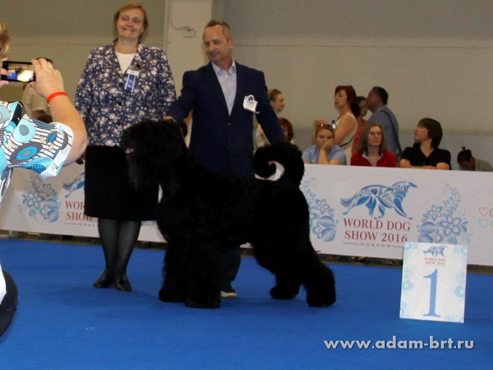 BORESLAVA LUBOV ADAMA IS VETERAN WORLD WINNER!!!