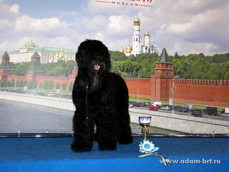 BORESLAVA LUBOV ADAMA IS VETERAN WORLD WINNER!!!