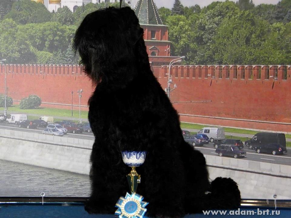 BORESLAVA LUBOV ADAMA IS VETERAN WORLD WINNER!!!