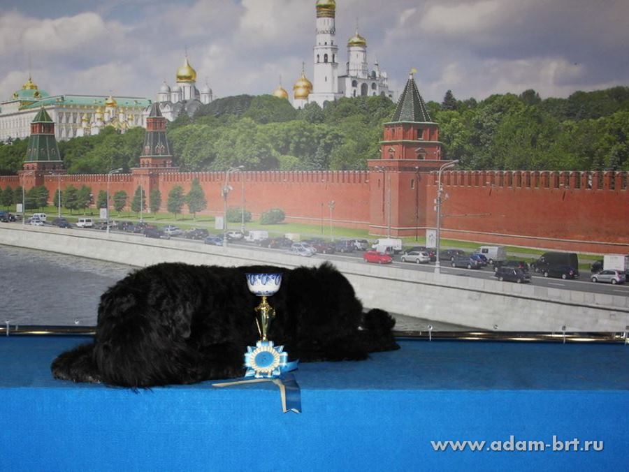 BORESLAVA LUBOV ADAMA IS VETERAN WORLD WINNER!!!