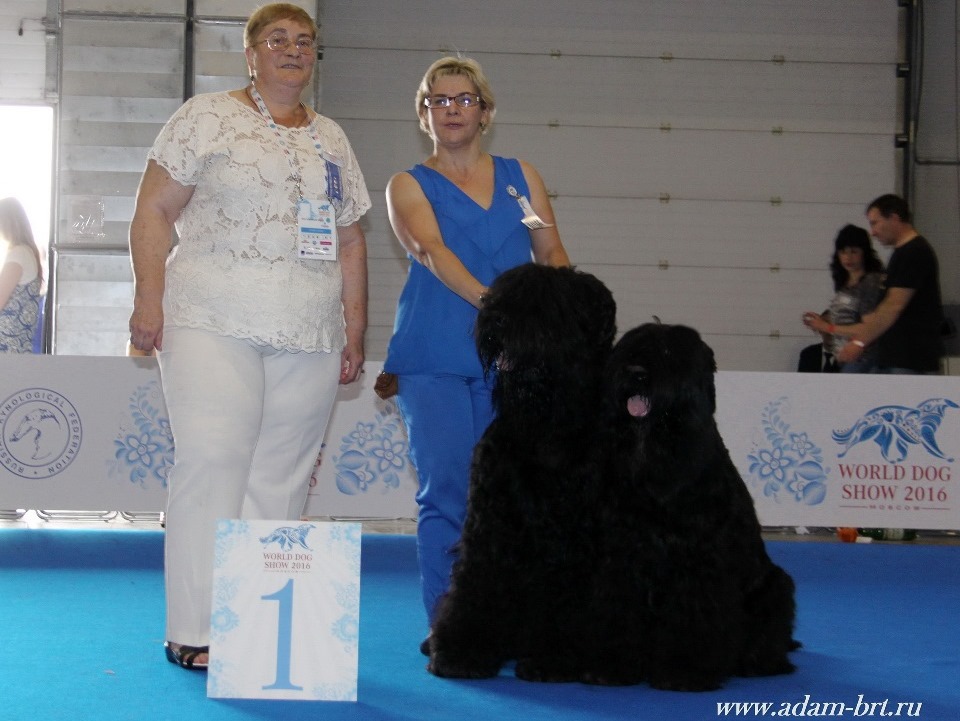 ADAM RACY STYLE APOLLON & ALEKSANDRA – WORLD CHAMPIONSHIP BEST COUPLE OF BREED!!!