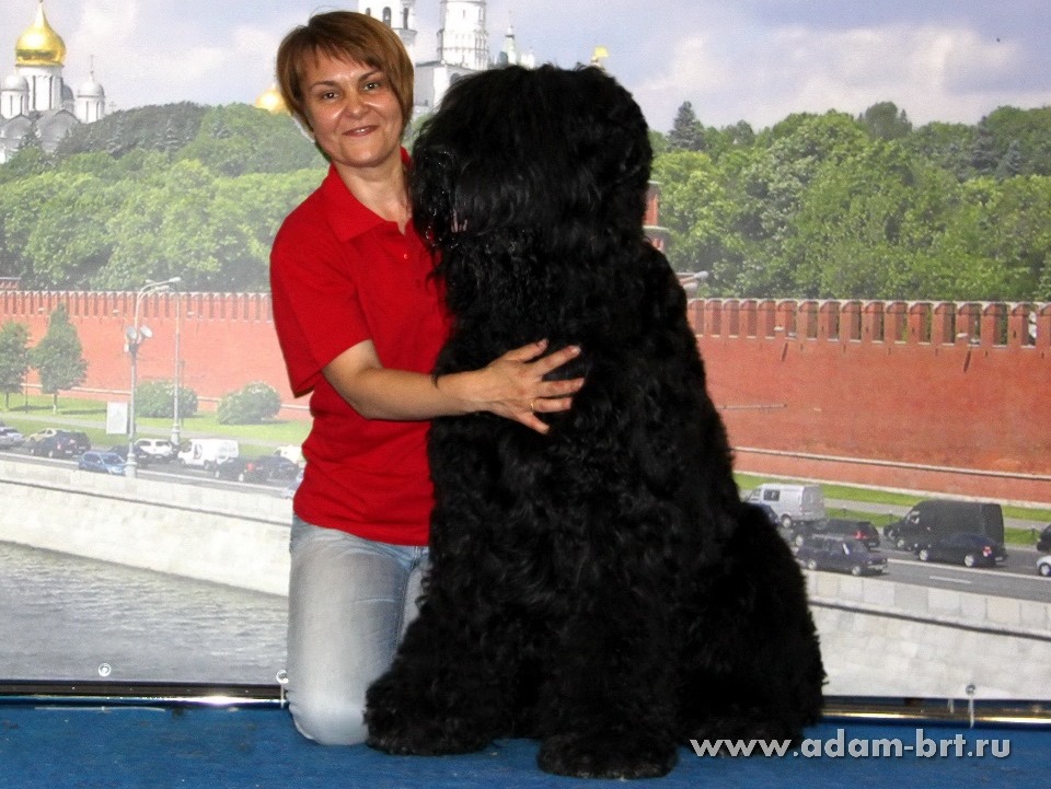 ADAM RACY STYLE APOLLON – CHAMPION CLASS, EXL, EXCELLENT!!!
