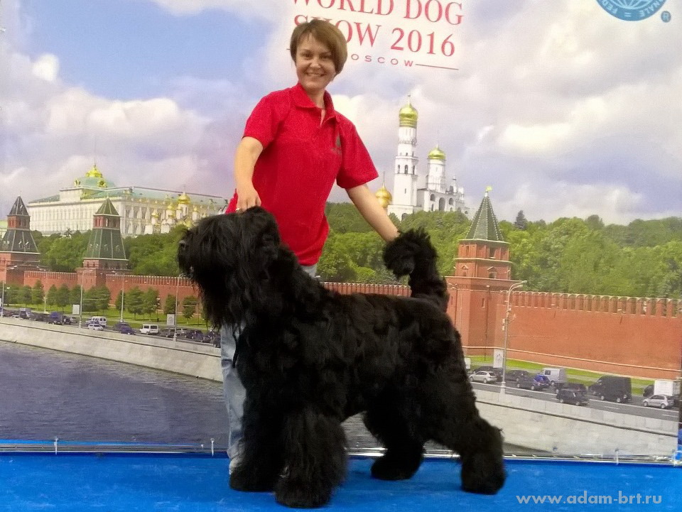 ADAM RACY STYLE ALEKSANDRA – CHAMPION CLASS, EXL, EXCELLENT!!!

