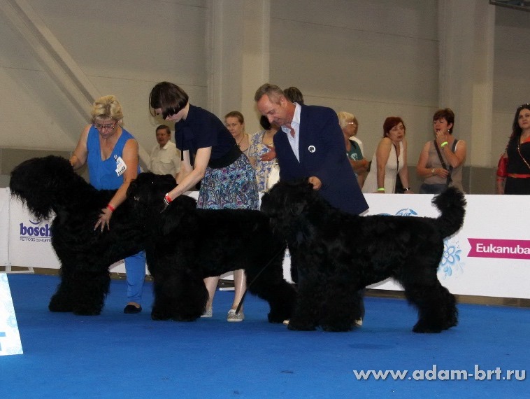 ADAM RACY STYLE BRT KENNEL – WORLD CHAMPIONSHIP PRIZE WINNER KENNEL OF BREED!!!