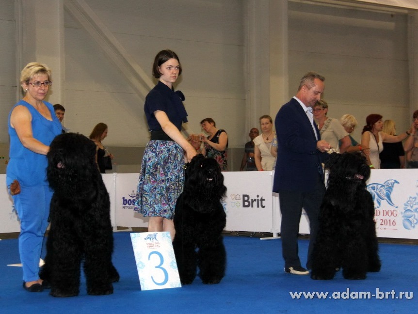 ADAM RACY STYLE BRT KENNEL – WORLD CHAMPIONSHIP PRIZE WINNER KENNEL OF BREED!!!