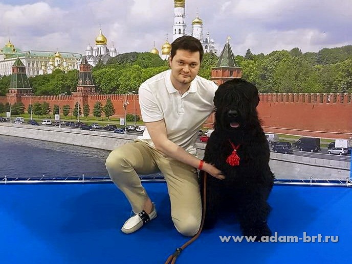 ADAM RACY STYLE MATVEY, 10 MONTHS – JUNIOR CLASS, EXL, EXCELLENT!!!