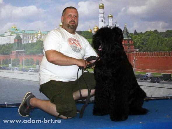 ADAM RACY STYLE INFINITY, 14 MONTHS – JUNIOR CLASS, VG, VERY GOOD!!!