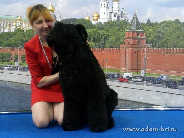 ADAM RACY STYLE LUBOSLAVA, 12 MONTHS – JUNIOR CLASS, EXL, EXCELLENT!!!