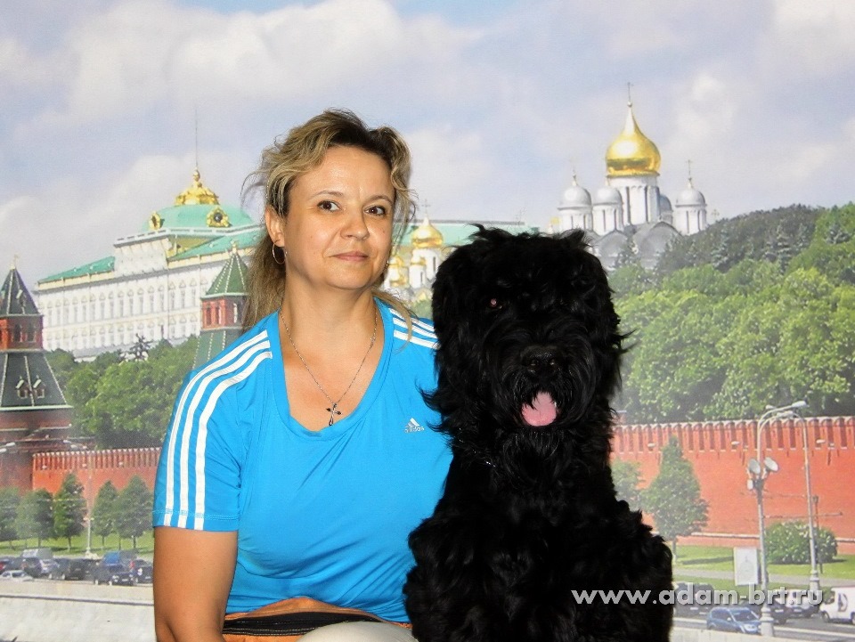 ADAM RACY STYLE RYTSAR SVETA, 6 MONTHS – PUPPY CLASS, VERY PROMISING, SECOND BEST PUPPY MALE OF “INTERRA” TERRIERS WORLD CHAMPIONSHIP!!!