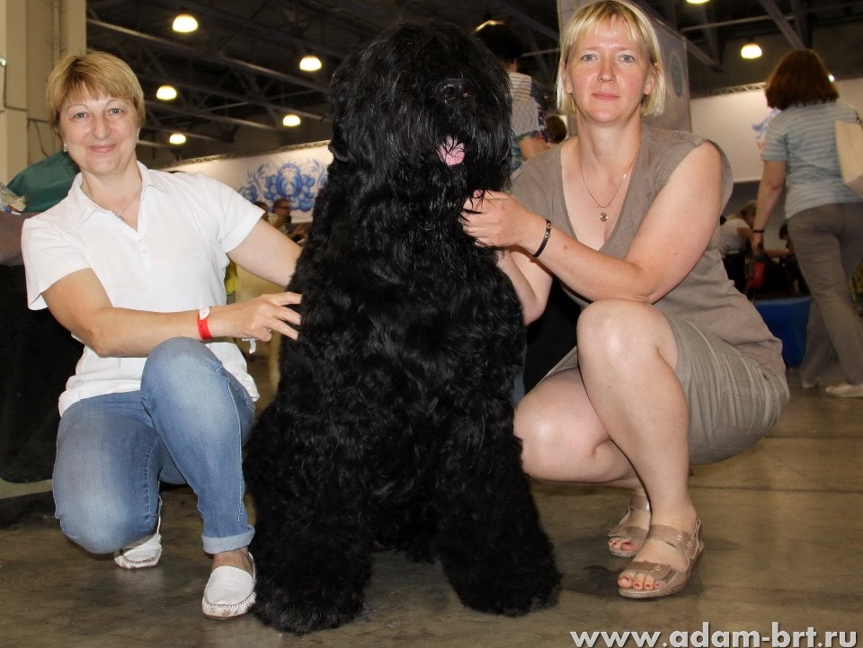 ADAM RACY STYLE APOLLON – CHAMPION CLASS, EXL, EXCELLENT!!!