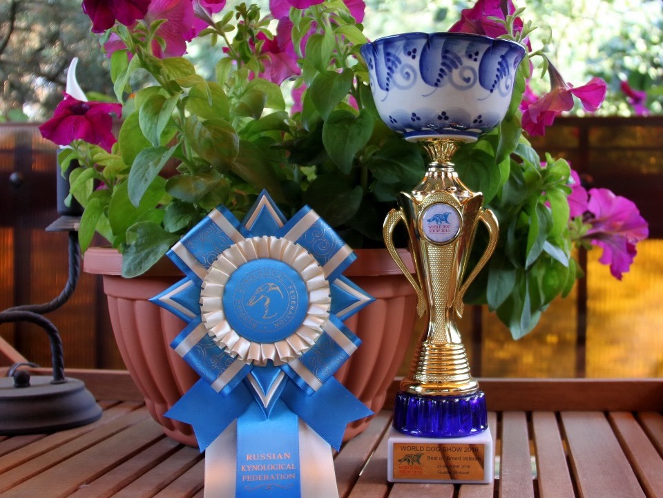 ADAM RACY STYLE BRT KENNEL – WORLD CHAMPIONSHIP PRIZE WINNER KENNEL OF BREED!!!
