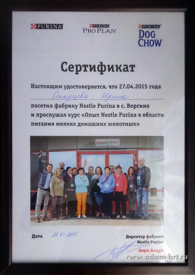 NESTLE PURINA PETCARE