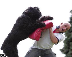 ������ ��������� ����������