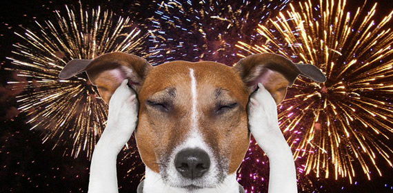 ��� ������� ����� ��������
� ���������� � ������ ���������!