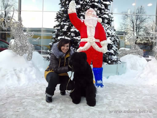 Адам Рэйси Стайл ДАНИЭЛЬ