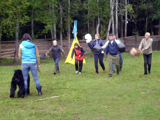 Адам Рэйси Стайл ДАНИЭЛЬ