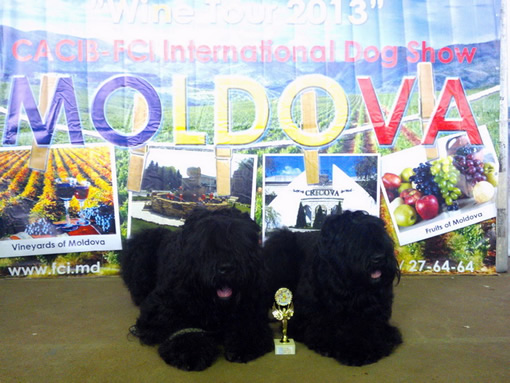 Адам Рэйси Стайл АПОЛЛОН и АЛЕКСАНДРА