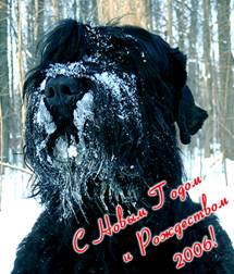 С НОВЫМ ГОДОМ!