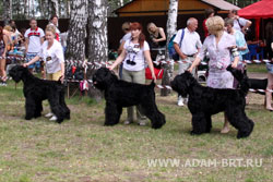 АДАМ + БОРИСЛАВА