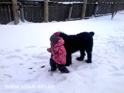 ADAM RACY STYLE БЕРЕНИС