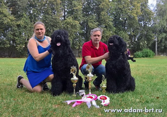      ()    () -          !