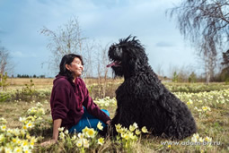      -   ,   !   !   !   ,    !