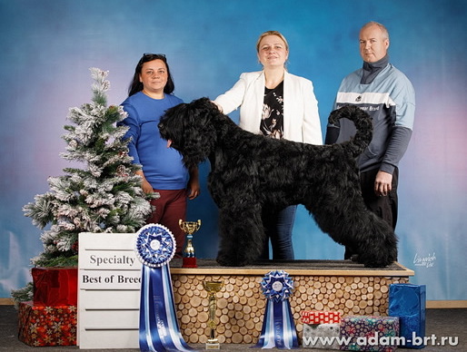 ���� ����� ����� ������� ����� (������) - ������ ������������� ������ ������������ �������� ������� ������ ������!