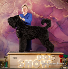      -   !      !    !  !