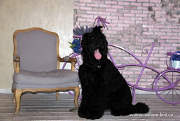      () –       KiDS CLUB!